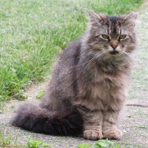 Meet your Posher, Julie